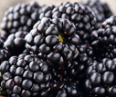 diobene for blood sugar control natural way